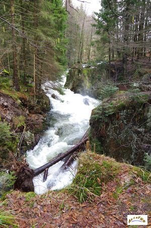 saut des cuves 17