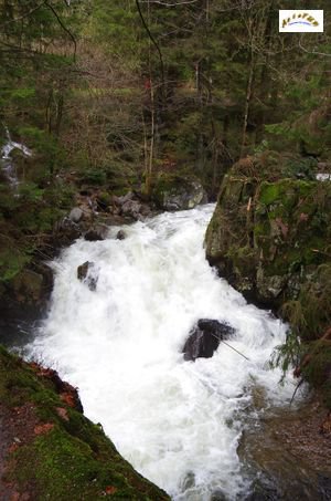 saut des cuves 2