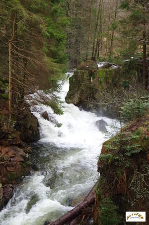 saut des cuves 20