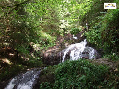 le haut de la cascade