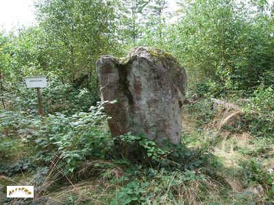 le menhir des Léches