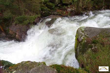 saut des cuves 10