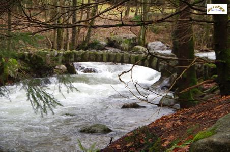 saut des cuves 11