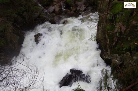 saut des cuves 14