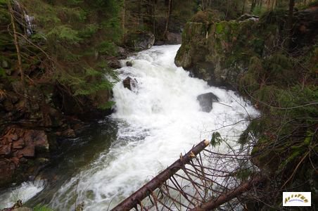 saut des cuves 4