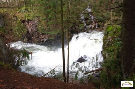 saut des cuves 7