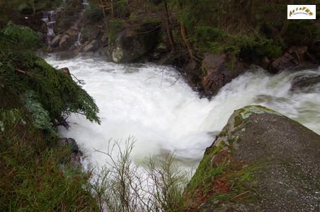 saut des cuves 8