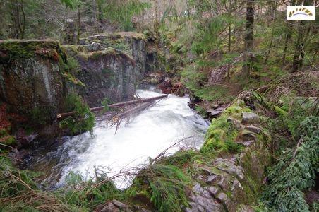 saut des cuves 9